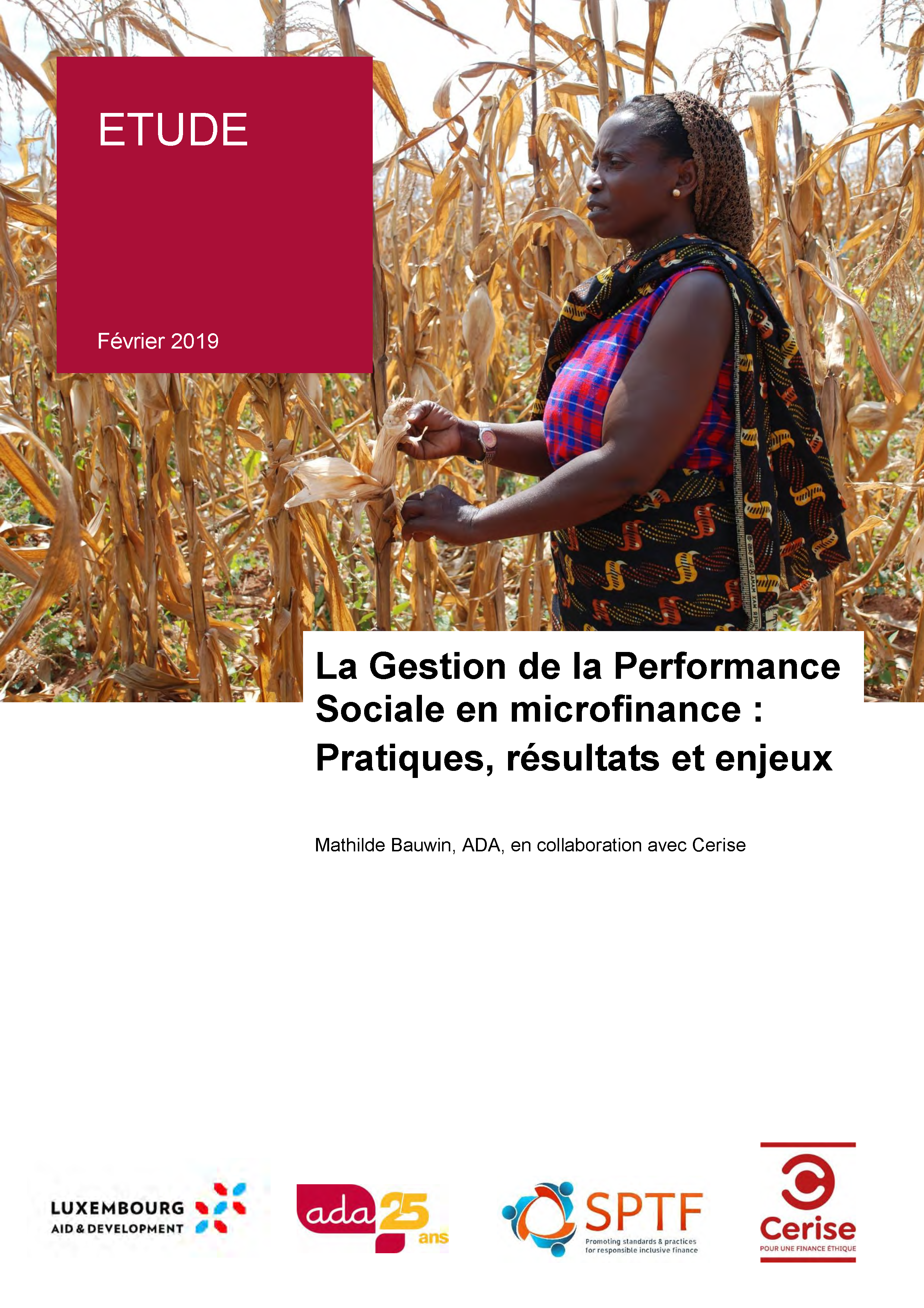 Etude sur la Gestion de la Performance Sociale en microfinance