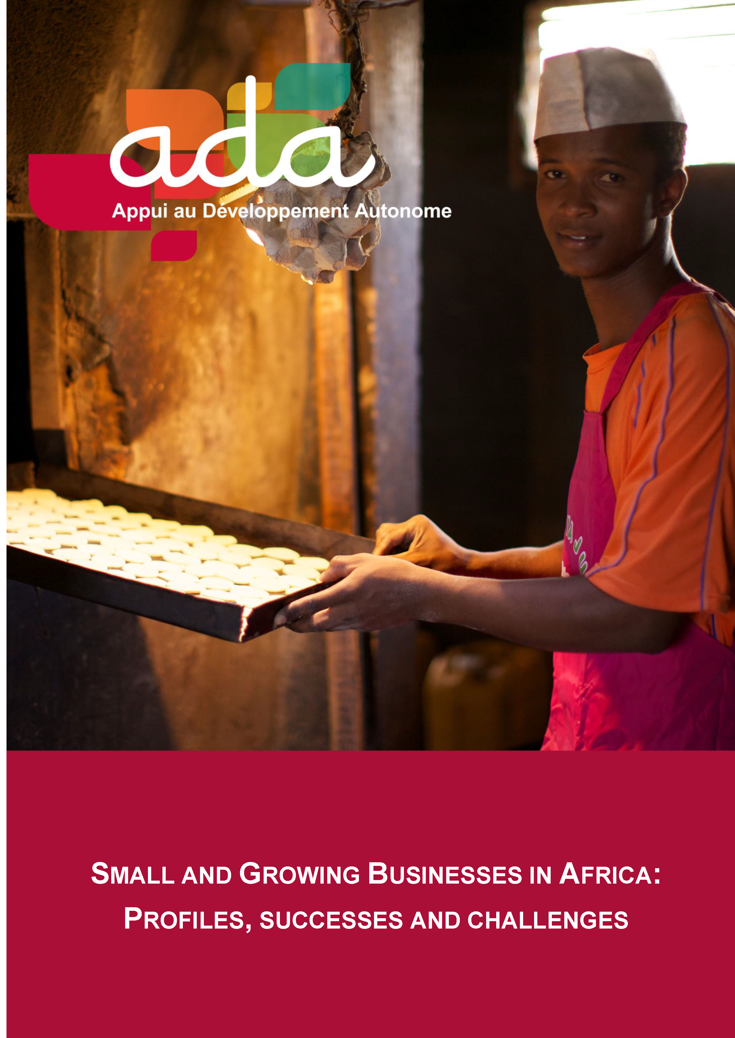 Study about small and growing businesses in Africa