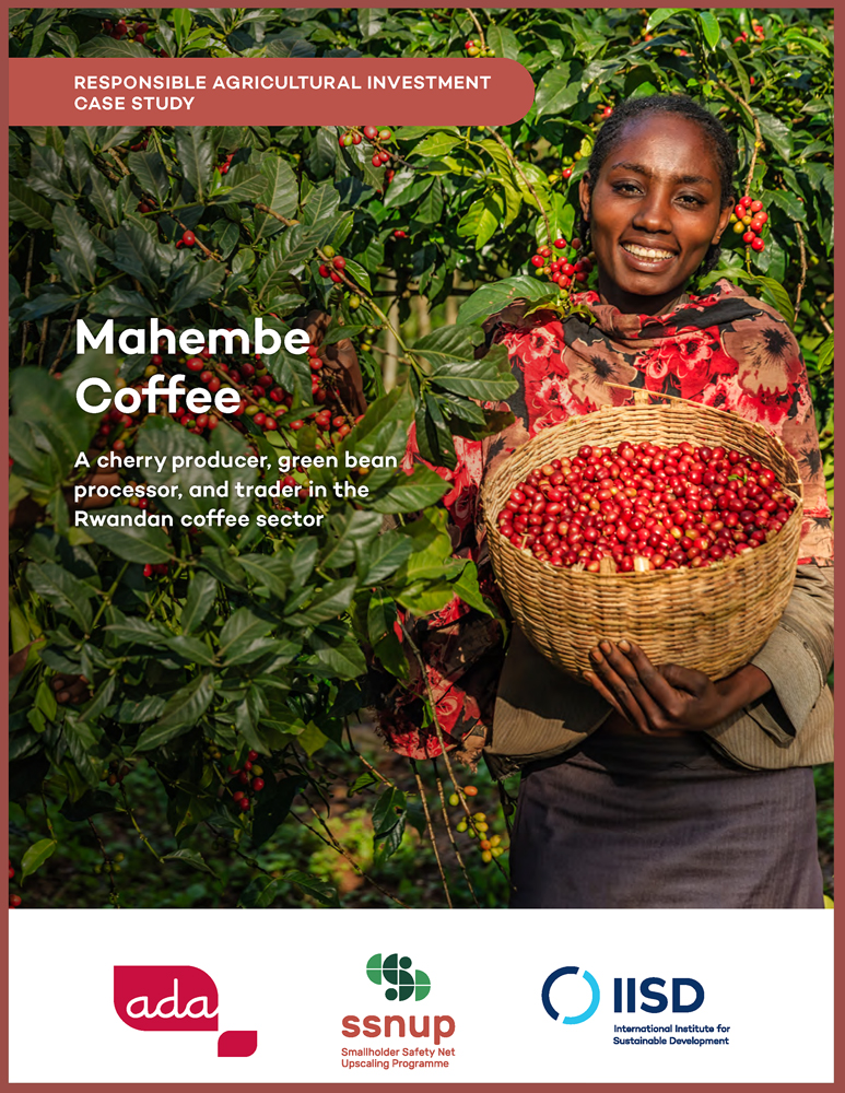 Cover - Étude de cas RAI - Pratiques agricoles responsables d'un producteur de cerises, d'un transformateur de grains verts et d'un négociant dans le secteur du café rwandais - Mahembe Coffee