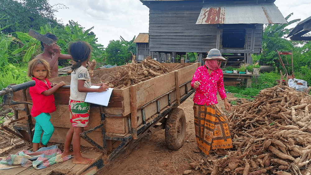SSNUP project completion: Improving the investment readiness of farmer cooperatives in Cambodia 